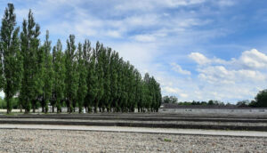 Accessible Driving Tour to Dachau Memorial Site near Munich